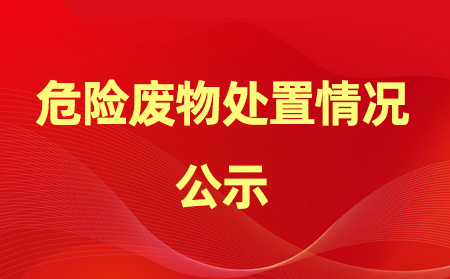 2024年危險廢物產(chǎn)生、處置情況公示
